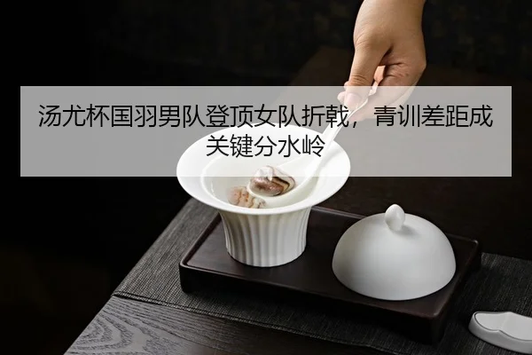 汤尤杯国羽男队登顶女队折戟，青训差距成关键分水岭