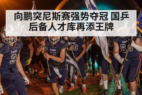 向鹏突尼斯赛强势夺冠 国乒后备人才库再添王牌
